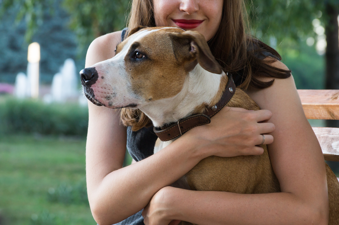 Woman Hugging Pet Dog 